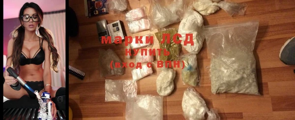 прущие грибы Нязепетровск
