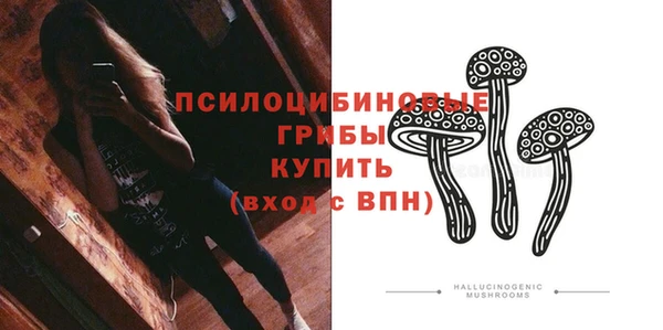 синтетический гашиш Новодвинск