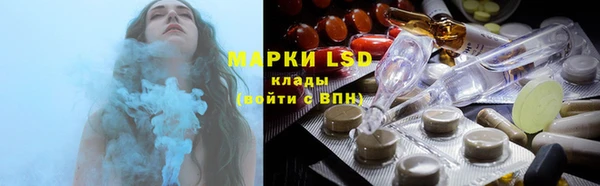 прущие грибы Нязепетровск