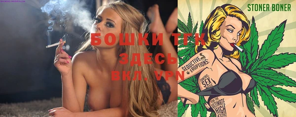 синтетический гашиш Новодвинск