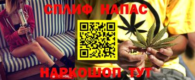 apvp Гай
