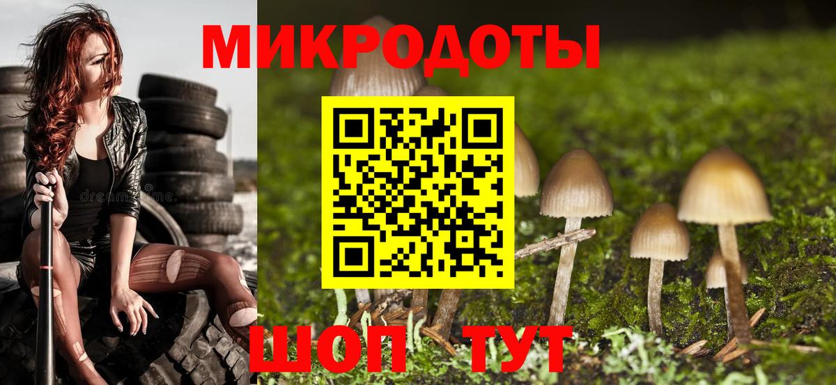 Псилоцибиновые грибы мицелий Казань