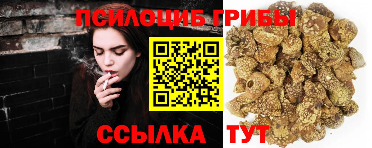 Галлюциногенные грибы MAGIC MUSHROOMS  Казань  Псилоцибиновые грибы Psilocybe 